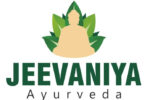 WhatsApp Image 2025-06-10 at 2.41.02 PM (1)